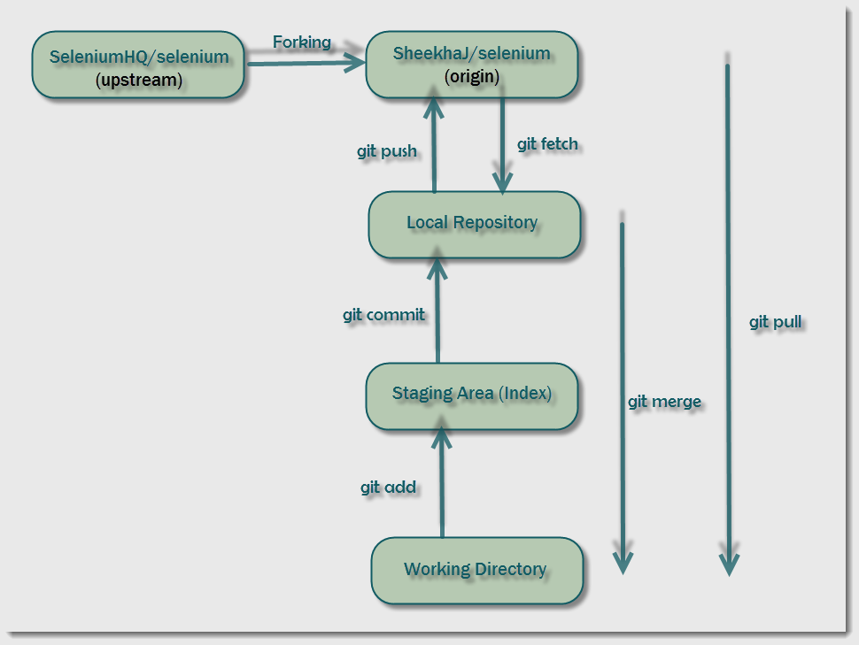 explain-various-git-terminologies-with-explanation-and-examples